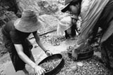 mogok