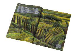 collio